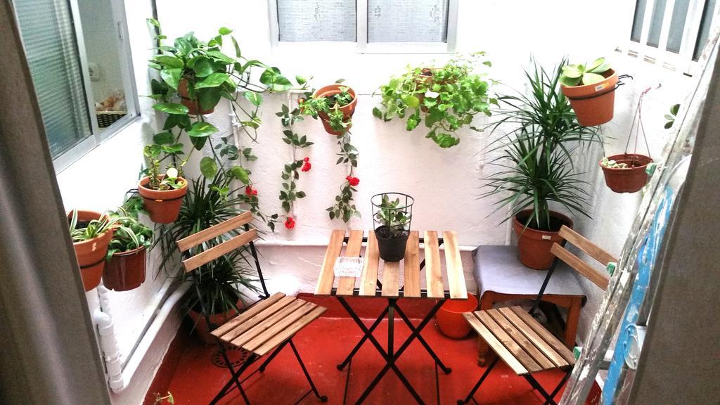 Apartamento Recaredo *